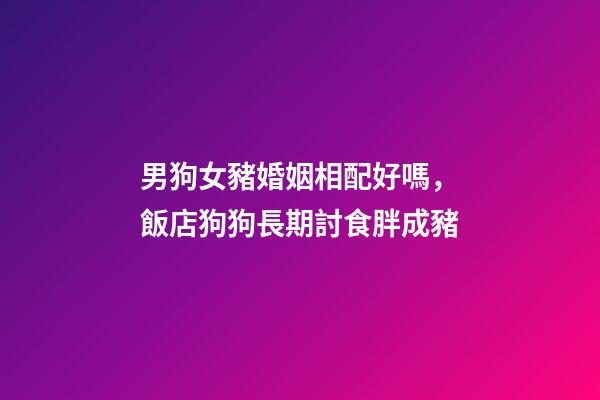 男狗女豬婚姻相配好嗎，飯店狗狗長期討食胖成豬-第1張-觀點-玄機派