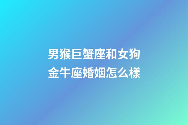 男猴巨蟹座和女狗金牛座婚姻怎么樣-第1張-星座運勢-玄機派