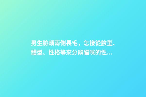男生臉頰兩側長毛，怎樣從臉型、體型、性格等來分辨貓咪的性別-第1張-觀點-玄機派
