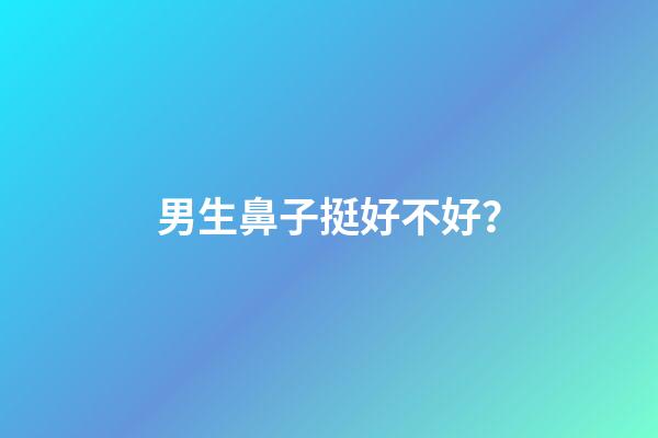 男生鼻子挺好不好？
