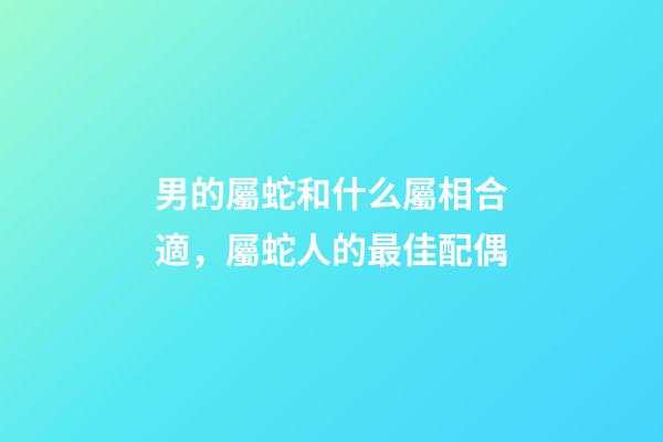 男的屬蛇和什么屬相合適，屬蛇人的最佳配偶-第1張-觀點-玄機派