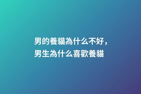 男的養貓為什么不好，男生為什么喜歡養貓-第1張-觀點-玄機派