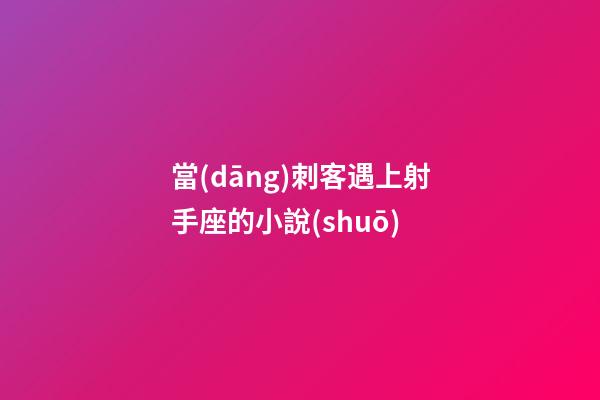 當(dāng)刺客遇上射手座的小說(shuō)