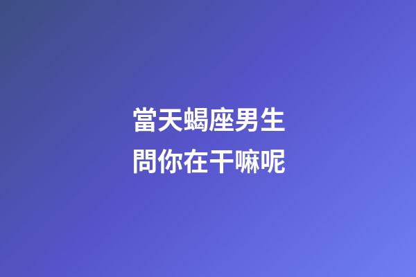 當天蝎座男生問你在干嘛呢-第1張-星座運勢-玄機派