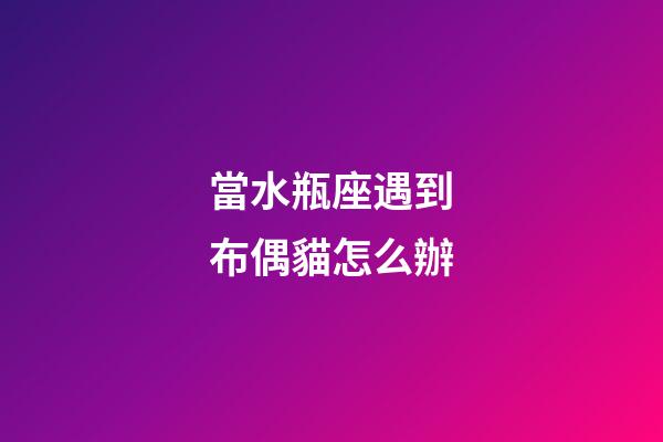 當水瓶座遇到布偶貓怎么辦