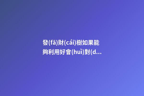 發(fā)財(cái)樹如果能夠利用好會(huì)對(duì)你運(yùn)勢(shì)有幫助