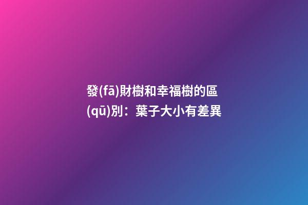 發(fā)財樹和幸福樹的區(qū)別：葉子大小有差異