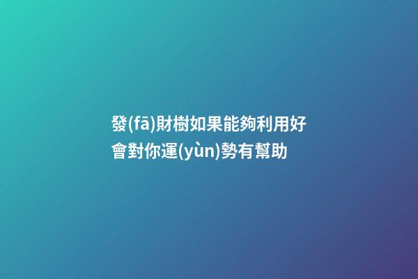 發(fā)財樹如果能夠利用好會對你運(yùn)勢有幫助