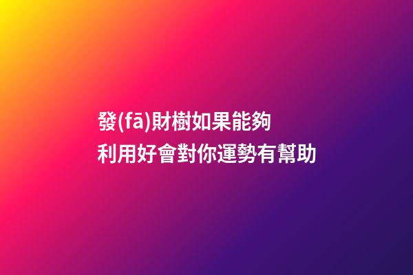 發(fā)財樹如果能夠利用好會對你運勢有幫助