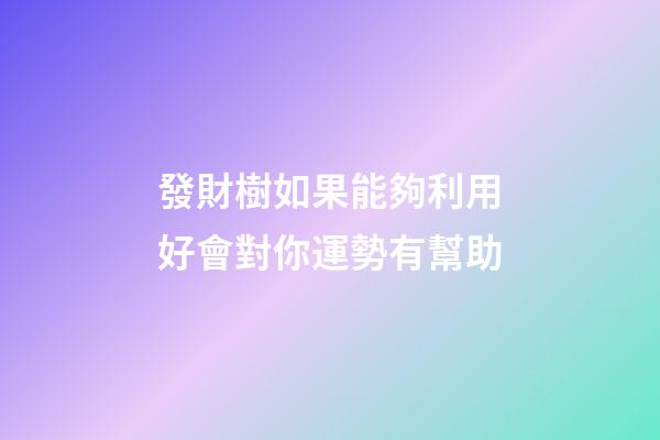 發財樹如果能夠利用好會對你運勢有幫助