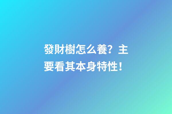發財樹怎么養？主要看其本身特性！