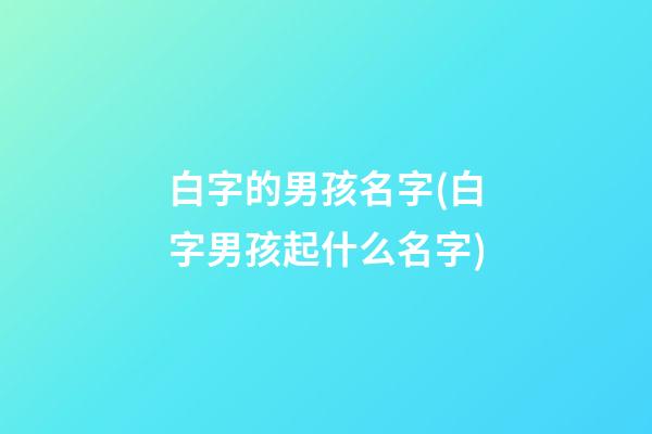 白字的男孩名字(白字男孩起什么名字)