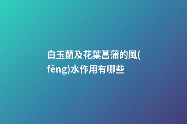 白玉蘭及花葉菖蒲的風(fēng)水作用有哪些?