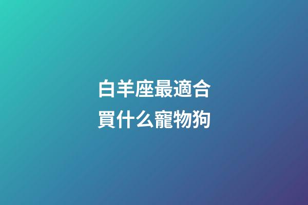 白羊座最適合買什么寵物狗-第1張-星座運勢-玄機派