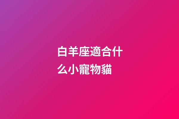 白羊座適合什么小寵物貓-第1張-星座運勢-玄機派