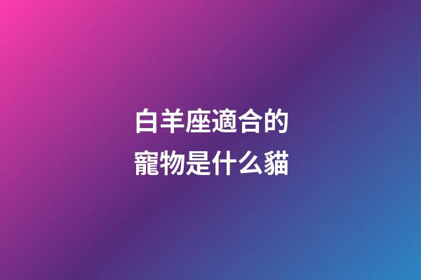 白羊座適合的寵物是什么貓-第1張-星座運勢-玄機派