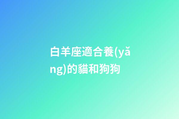 白羊座適合養(yǎng)的貓和狗狗-第1張-星座運勢-玄機派