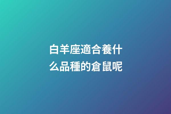 白羊座適合養什么品種的倉鼠呢-第1張-星座運勢-玄機派