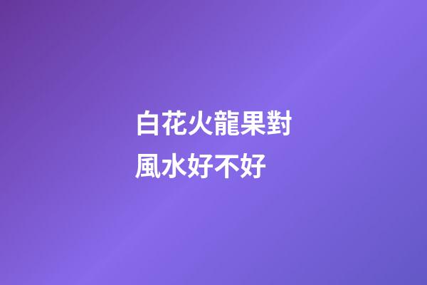 白花火龍果對風水好不好