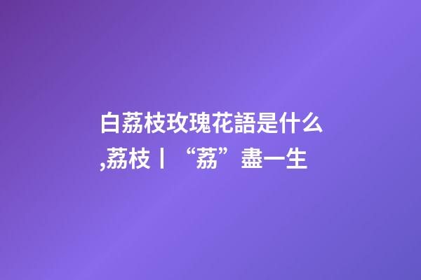白荔枝玫瑰花語是什么,荔枝丨“荔”盡一生-第1張-觀點(diǎn)-玄機(jī)派