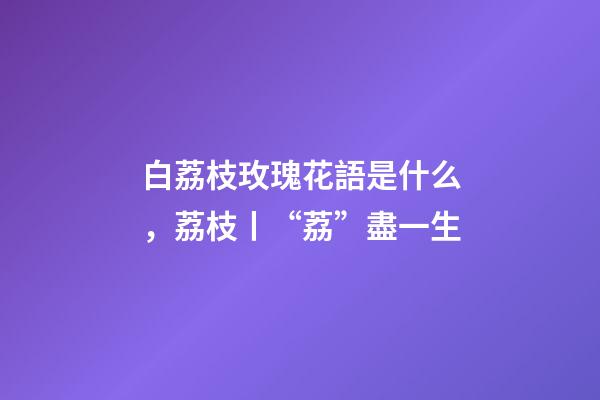 白荔枝玫瑰花語是什么，荔枝丨“荔”盡一生-第1張-觀點(diǎn)-玄機(jī)派