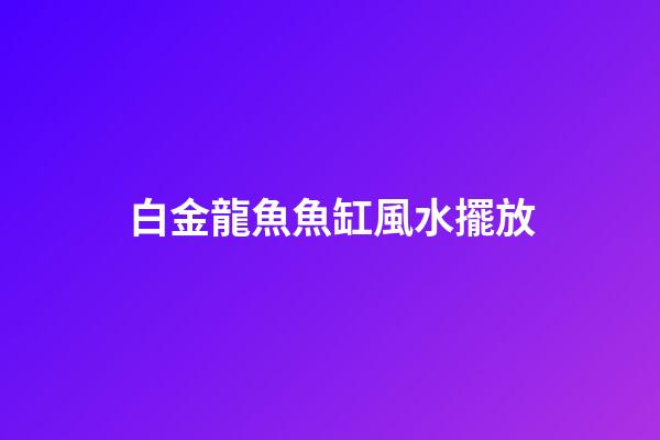 白金龍魚魚缸風水擺放
