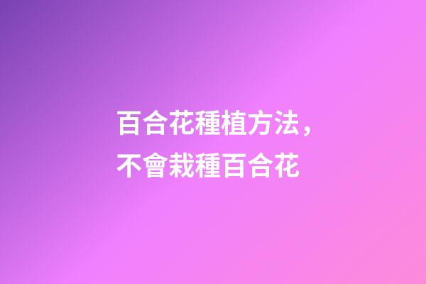 百合花種植方法，不會栽種百合花-第1張-觀點-玄機派
