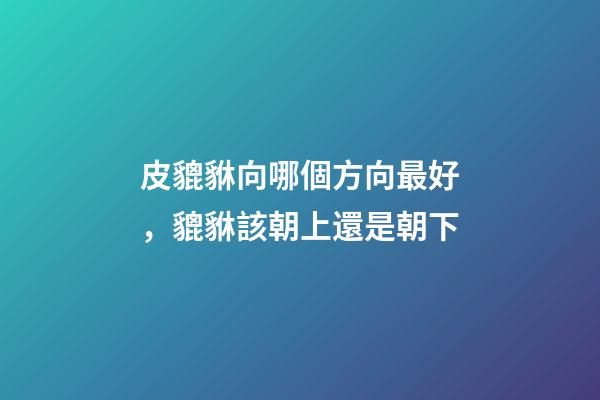 皮貔貅向哪個方向最好，貔貅該朝上還是朝下-第1張-觀點-玄機派