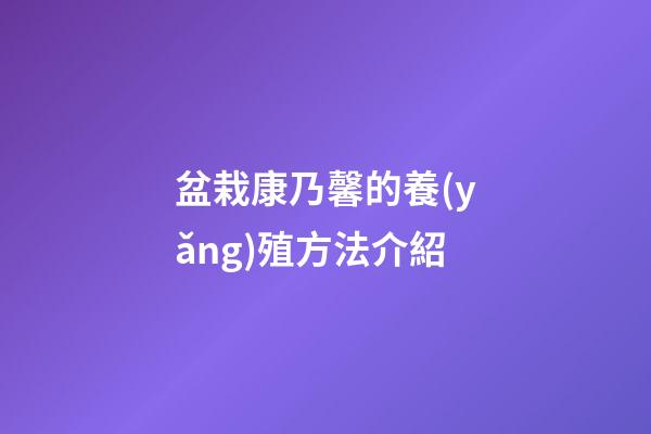 盆栽康乃馨的養(yǎng)殖方法介紹