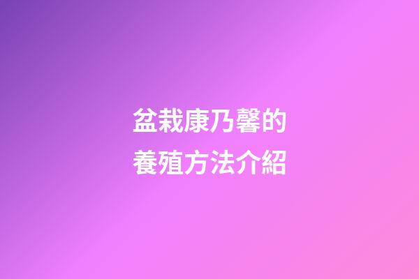 盆栽康乃馨的養殖方法介紹