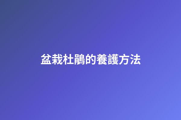 盆栽杜鵑的養護方法