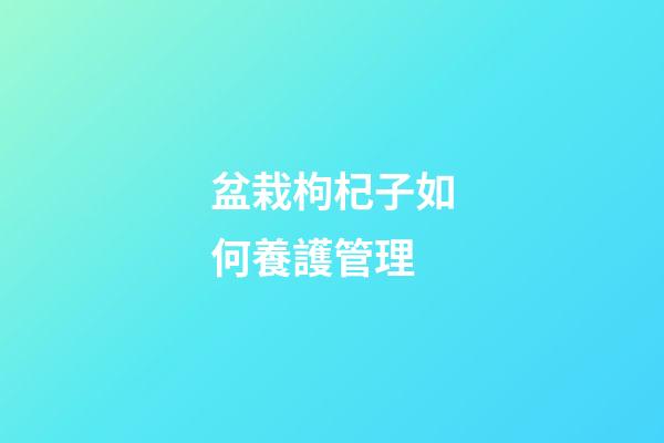 盆栽枸杞子如何養護管理