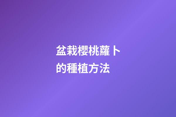 盆栽櫻桃蘿卜的種植方法
