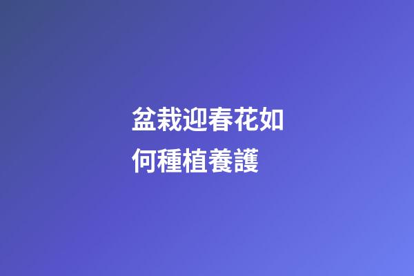 盆栽迎春花如何種植養護