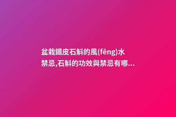 盆栽鐵皮石斛的風(fēng)水禁忌,石斛的功效與禁忌有哪些？