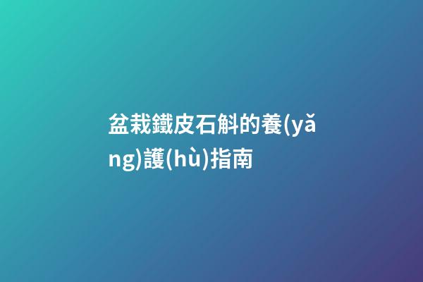 盆栽鐵皮石斛的養(yǎng)護(hù)指南
