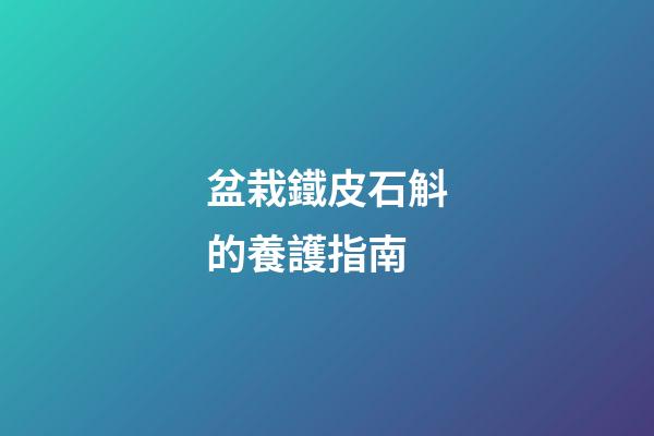 盆栽鐵皮石斛的養護指南