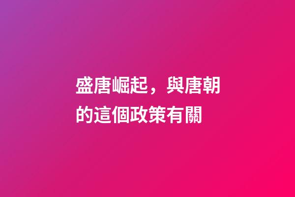 盛唐崛起，與唐朝的這個政策有關-第1張-觀點-玄機派
