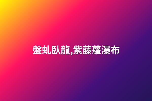 盤虬臥龍,紫藤蘿瀑布-第1張-觀點(diǎn)-玄機(jī)派