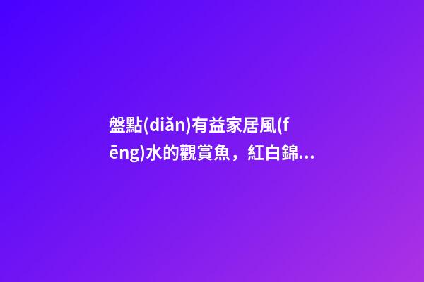 盤點(diǎn)有益家居風(fēng)水的觀賞魚，紅白錦鯉能旺財(cái)