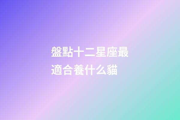 盤點十二星座最適合養什么貓-第1張-星座運勢-玄機派