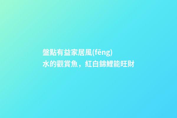 盤點有益家居風(fēng)水的觀賞魚，紅白錦鯉能旺財