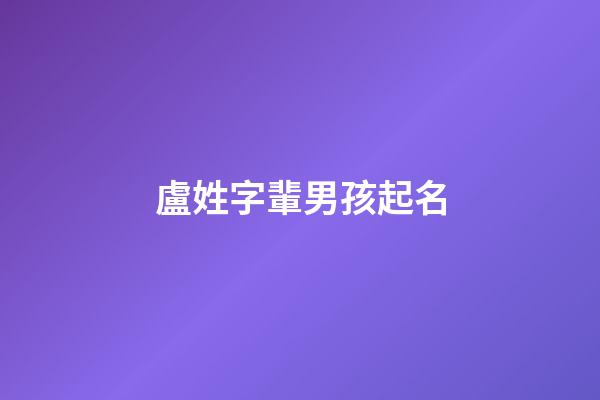 盧姓字輩男孩起名(盧姓男孩起名大全2023)-第1張-男孩起名-玄機派