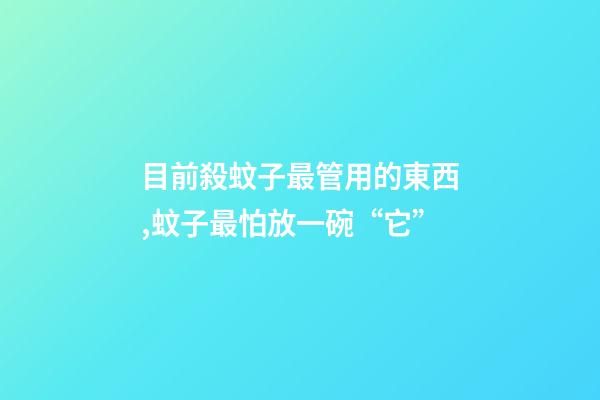 目前殺蚊子最管用的東西,蚊子最怕放一碗“它”-第1張-觀點-玄機派