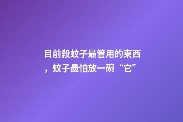 目前殺蚊子最管用的東西，蚊子最怕放一碗“它”-第1張-觀點-玄機派