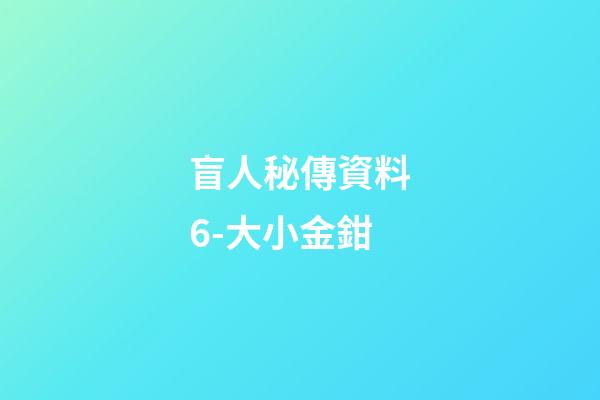 盲人秘傳資料6-大小金鉗