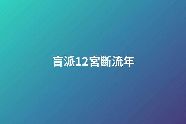 盲派12宮斷流年