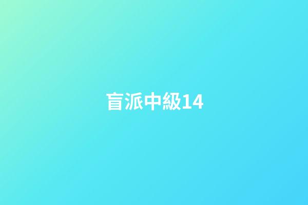 盲派中級14