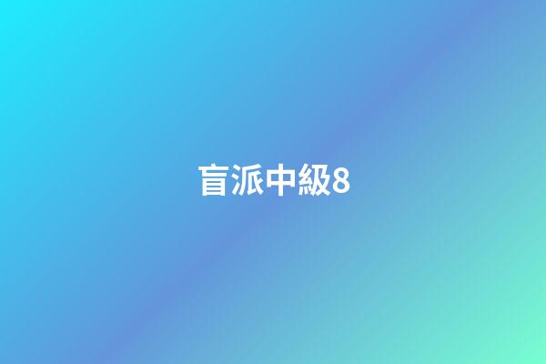盲派中級8