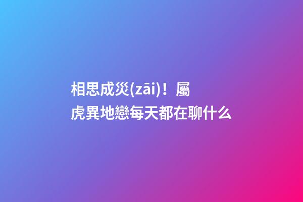 相思成災(zāi)！屬虎異地戀每天都在聊什么